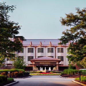 Falling Rock Luxury King Adult Only